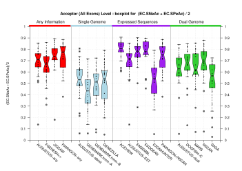 Acceptor Site (All Exons)