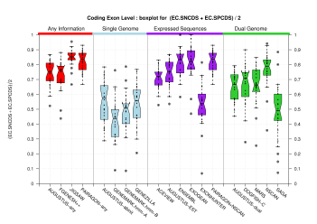 All Coding Exons