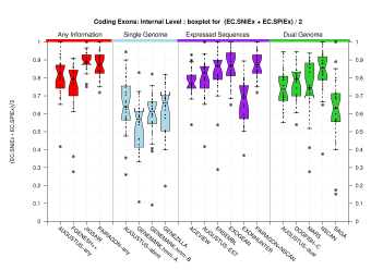 Internal Exon