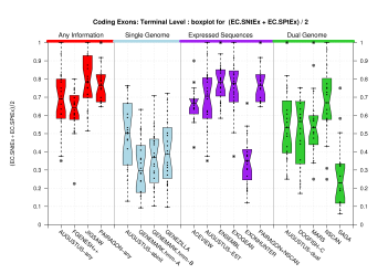 Terminal Exon