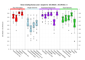 Donor Site (Coding Exons)