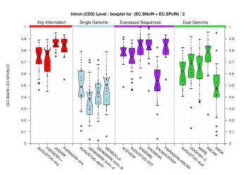 Introns within Coding Exons