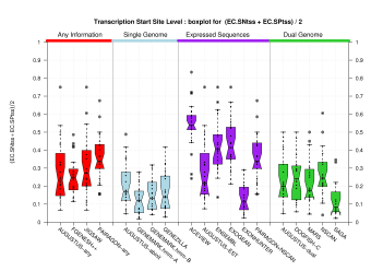 Transcription Start Site (TSS)