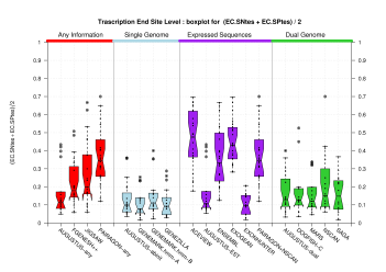 Transcription End Site (TSS)
