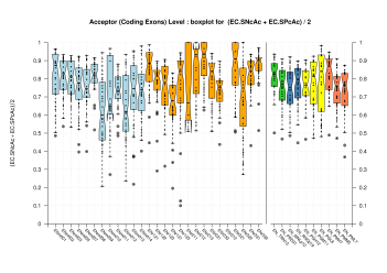 Acceptor Site (Coding Exons)