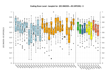 All Coding Exons