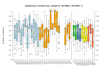 Terminal Exon