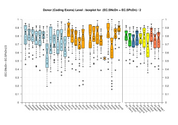 Donor Site (Coding Exons)
