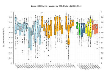 Introns within Coding Exons
