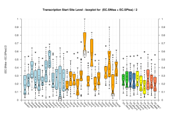 Transcription Start Site (TSS)