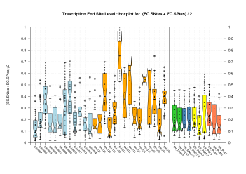 Transcription End Site (TSS)