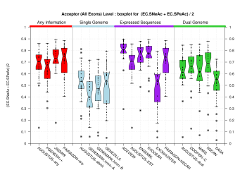 Acceptor Site (All Exons)