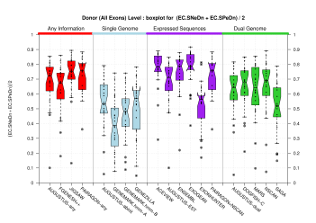Donor Site (All Exons)