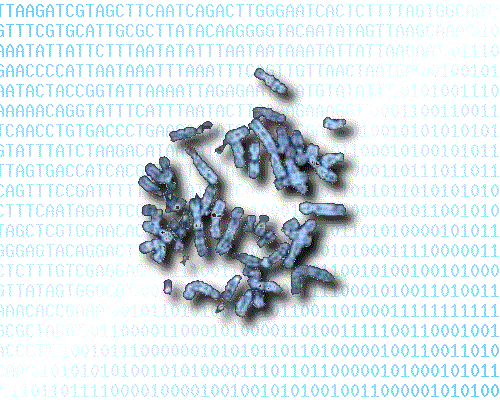 Welcome to Genome BioInformatics Lab Home Page