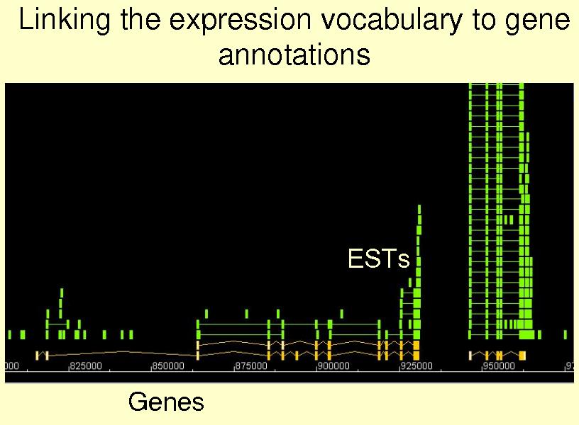 Linking expression to genes