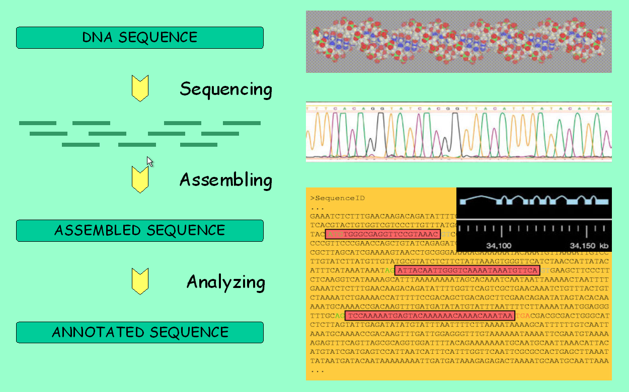 data integration