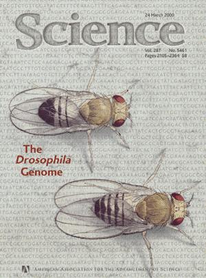 Science cover 287(5461)